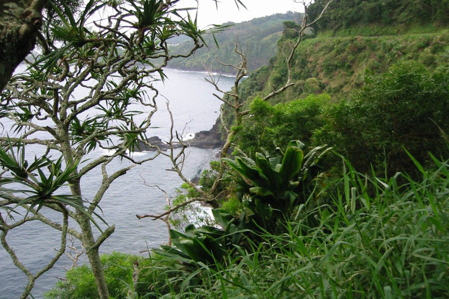 ../image/honomanu bay view.jpg